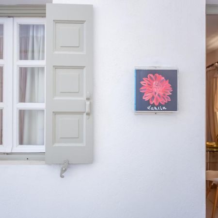 Sing And Blossom Accommodation Mykonos Town Экстерьер фото
