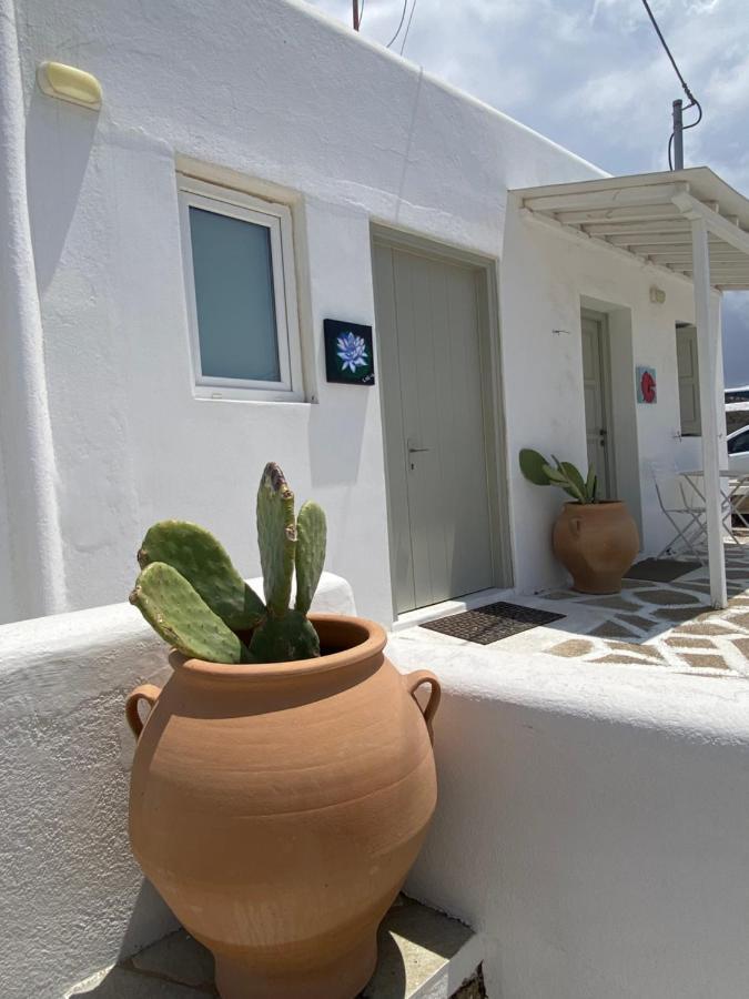 Sing And Blossom Accommodation Mykonos Town Экстерьер фото