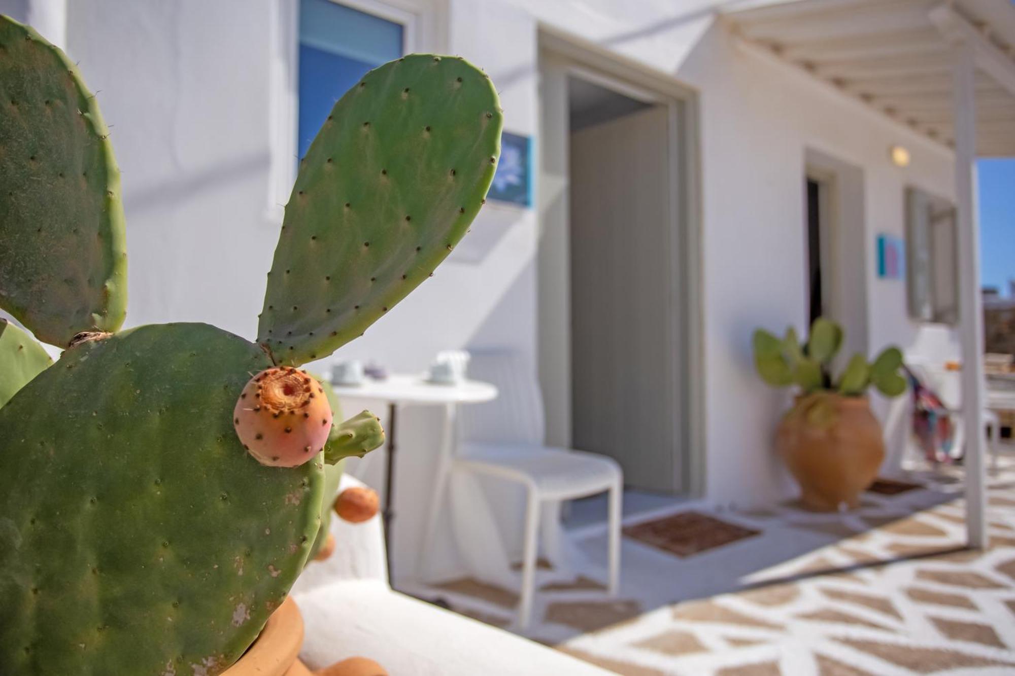 Sing And Blossom Accommodation Mykonos Town Экстерьер фото