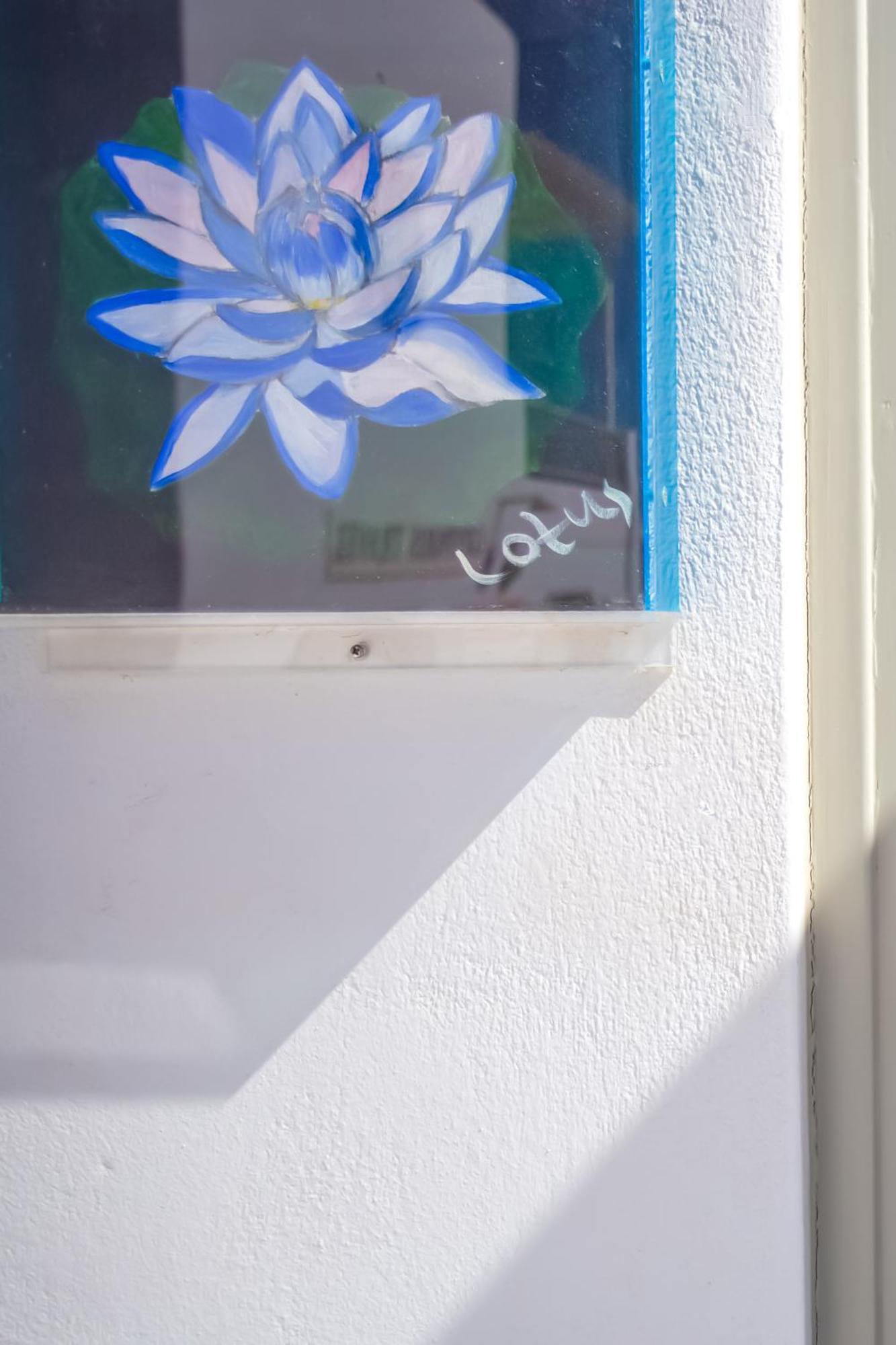 Sing And Blossom Accommodation Mykonos Town Экстерьер фото